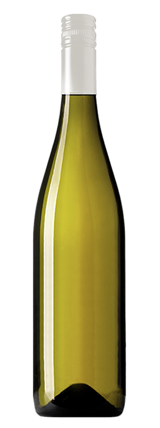 2024 Alex Avenue Blanc Dozen