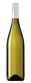 2024 Alex Avenue Blanc Dozen